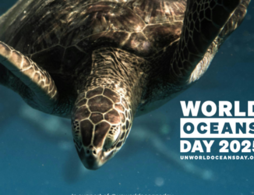 Dia Mundial dels Oceans