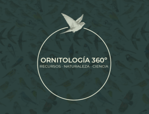 Ornitología 360º