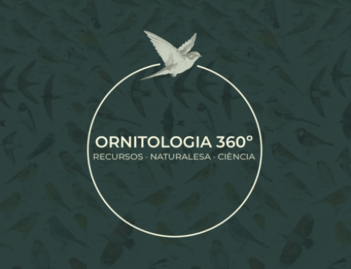 Ornitologia 360º